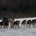 Jim Nowell Photo 8