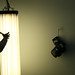 Cory Sharp Photo 34