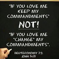 Dwight Ellis Photo 17