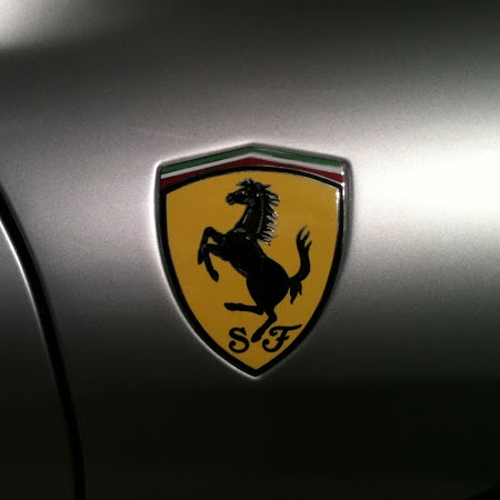 Zachary Rich Photo 19