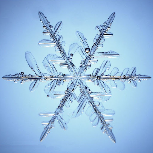 Janet Macdonald Photo 23