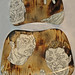 Herman Maldonado Photo 17