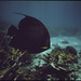 John Few Photo 9