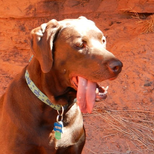 Shelley Todd Photo 25