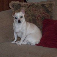 Luann Fry Photo 2