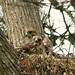 Debra Hawks Photo 12