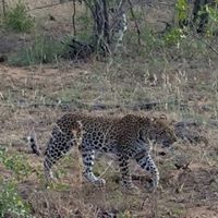 Alan Gregory Photo 36