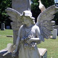 Laura Bacon Photo 26