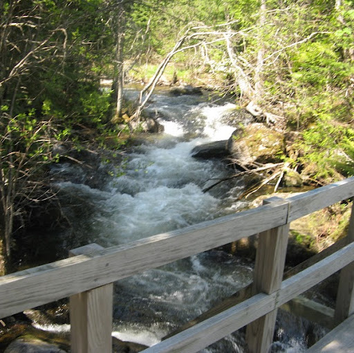 Marie Beaulieu Photo 9