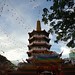 Ann Eng Photo 12
