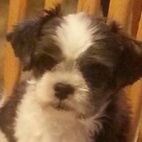 Darryl Baxter Photo 30