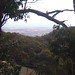 Frances Robertson Photo 16