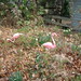 Carolyn Shook Photo 9