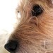 Eric Nutter Photo 9