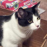 Nancy Lockwood Photo 31