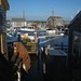 Martha Harbour Photo 8