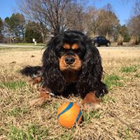 Elizabeth Mccrary Photo 14