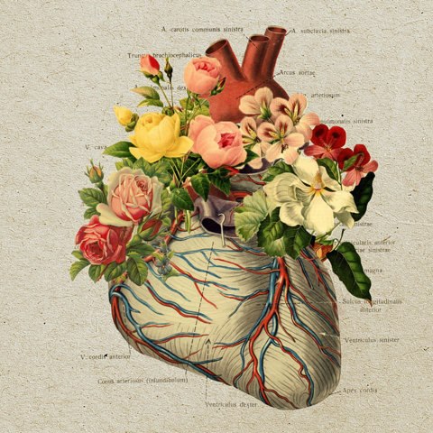 Angela Beaver Photo 14