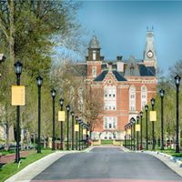 Peter Rasmussen Photo 20