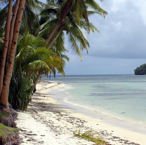 Kathy Murrell Photo 7