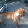 Gabriel Carvallo Photo 17