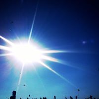 Shawn Ray Photo 28 Shawn Ray Photo 28