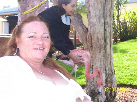 Rebecca Williams Photo 53