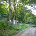Connie Norris Photo 16