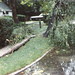 Kathleen Minor Photo 23