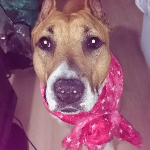 Denis Jimenez Photo 24