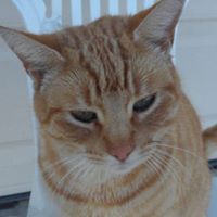 Carla Mills Photo 26