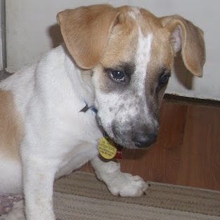 Lillie Moore Photo 9