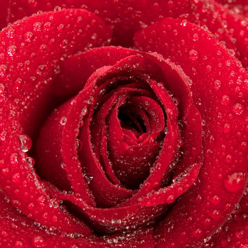 Sandra Percival Photo 14