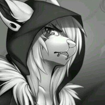 Sean Mcdowell Photo 33