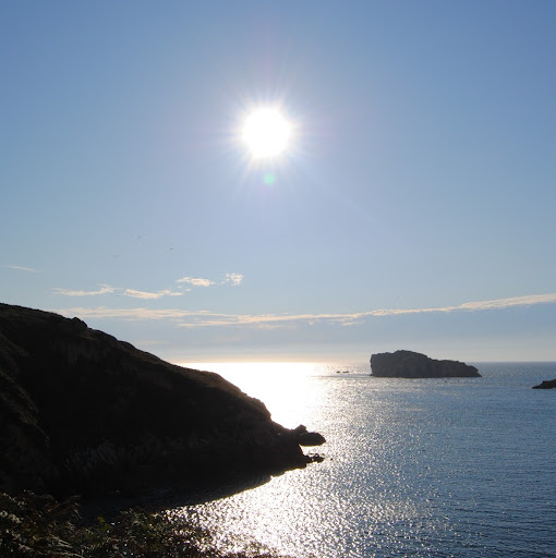 Raquel Gutierrez Photo 35