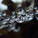 Dawn Gray Photo 33