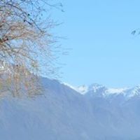 Dianne Franks Photo 10