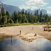 Stephen Strauss Photo 11