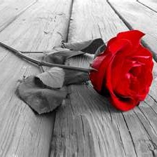 Douglas Sims Photo 35