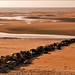 William Havens Photo 15