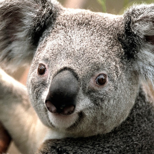 Rodney Jenkins Photo 29