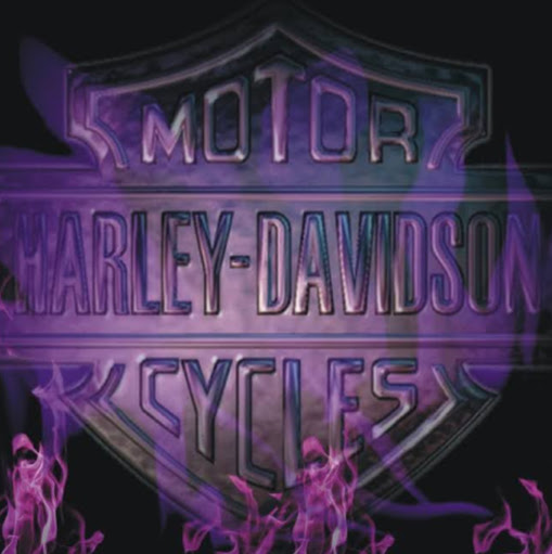 Wendy Taylor Photo 17