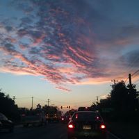 Gordon Thompson Photo 7