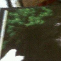 Debra Boylan Photo 5