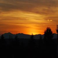 Sherri Richardson Photo 26