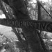 Tom Matson Photo 31