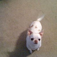 Janet Mcginnis Photo 22