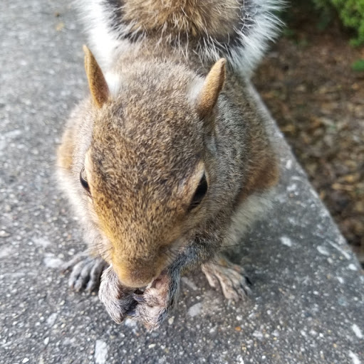 Erik Harvey Photo 30