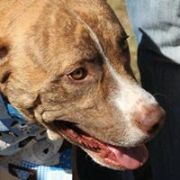 Susan Welch Photo 20