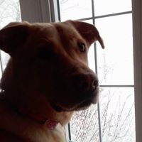 Cheryl Kowalik Photo 6